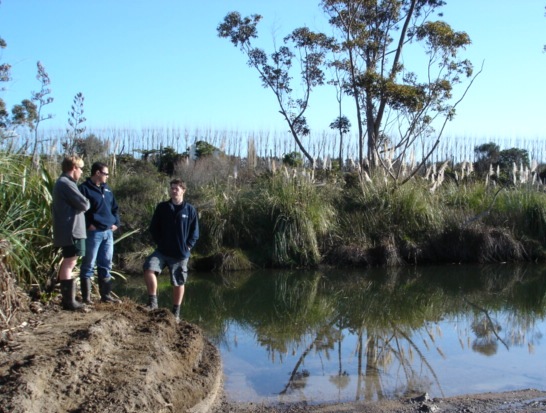 Athenree wetland